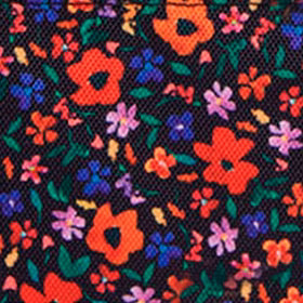 Pochette avant XS Indiana State Museum
