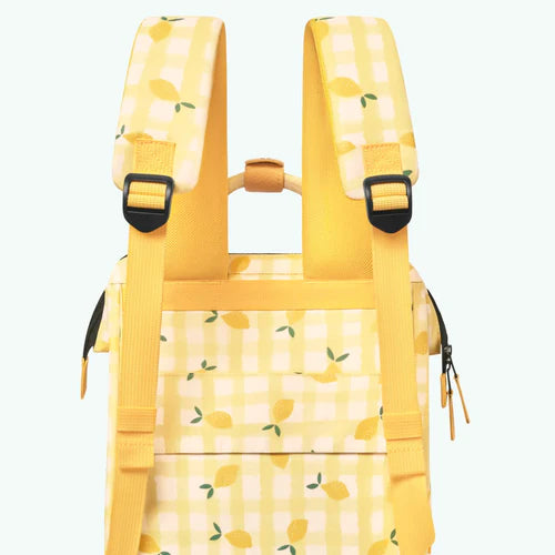 Sac à dos Adventurer Medium Pau